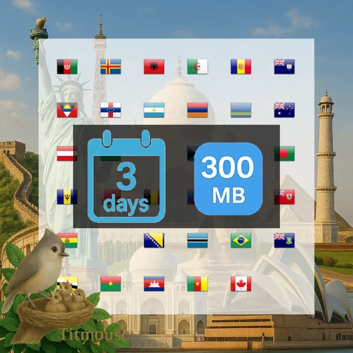 Discover Global - 300 MB - 3 days