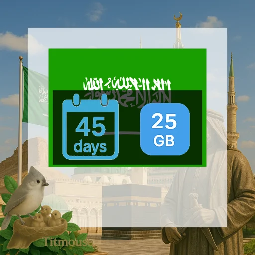 Saudi Arabia - 25 GB - 45 Days