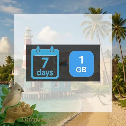 Democratic Republic Of The Congo - 1 GB - 7 Days