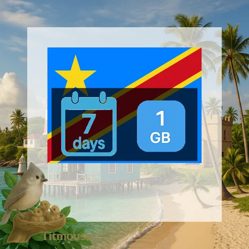 Democratic Republic Of The Congo - 1 GB - 7 Days